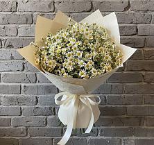Букет цветов из:  Ромашки в Серково