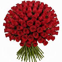Букет Красные розы Чери Лав #REPLACE_PRED# Серково